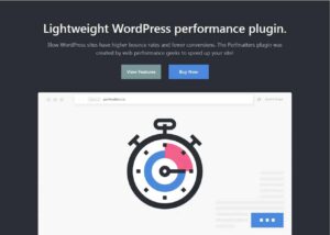 Picture of the Perfmatters Website