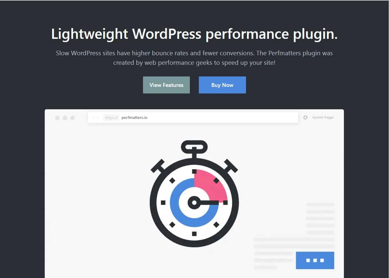 Picture of the Perfmatters Website